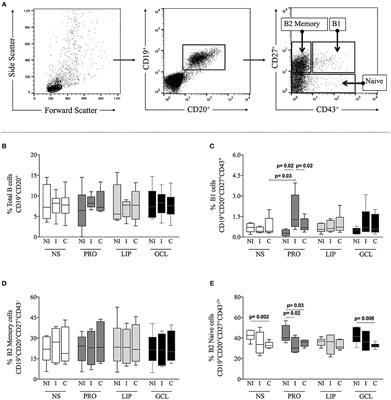 Activation of Human CD11b+ B1 B-Cells by Trypanosoma cruzi-Derived Proteins Is Associated With Protective Immune Response in Human Chagas Disease